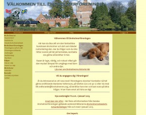 Den tidigare hemsidan